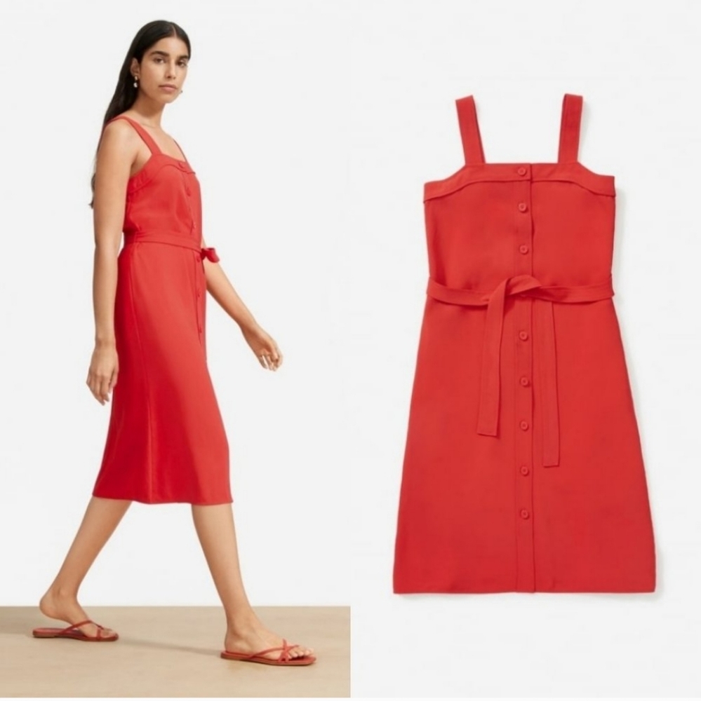 Everlane Japanese GoWeave Picnic Dress